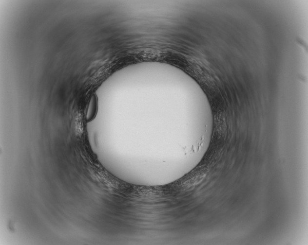 X0000096150962200802081408