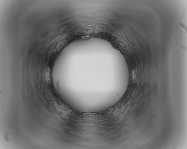 X0000096150963200802081408