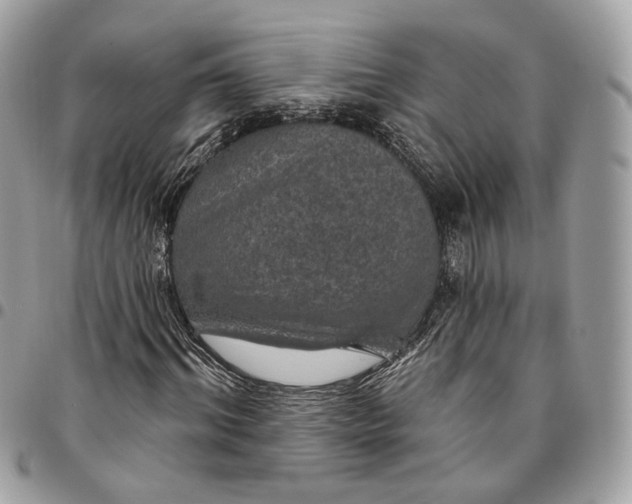 X0000096150964200802081408