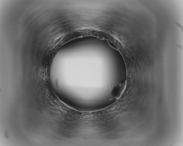 X0000096150965200802081408