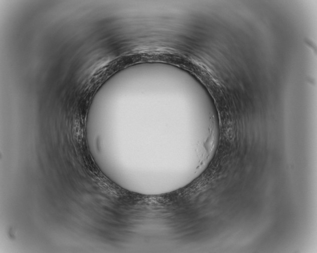 X0000096150966200802081408