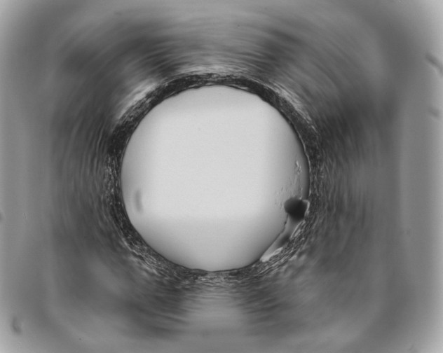 X0000096150967200802081408