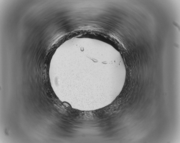 X0000096150968200802081408