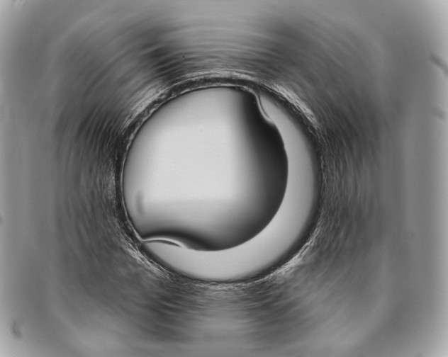 X0000096150969200802081408