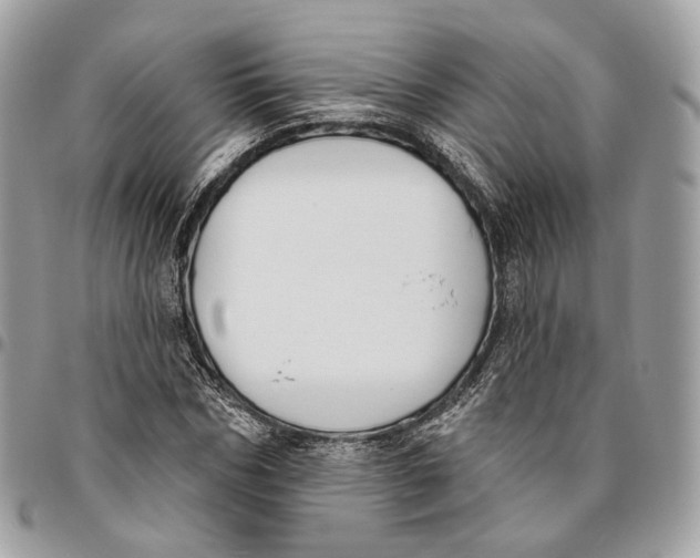 X0000096150970200802081408