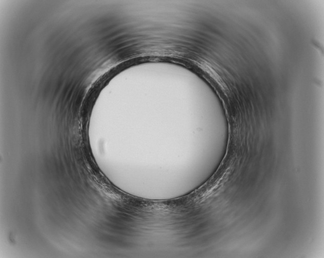 X0000096150971200802081408