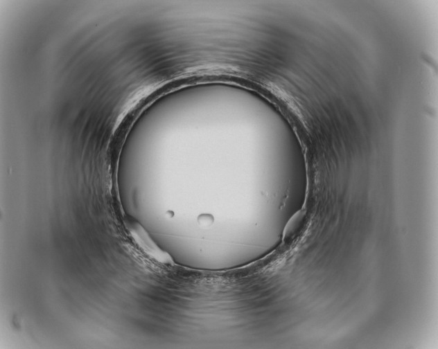 X0000096150973200802081408