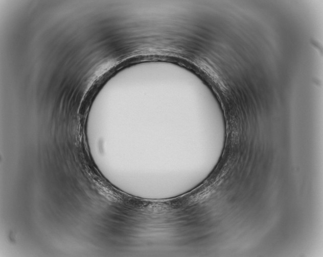 X0000096150974200802081408