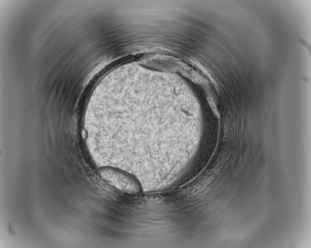 X0000096150975200802081408