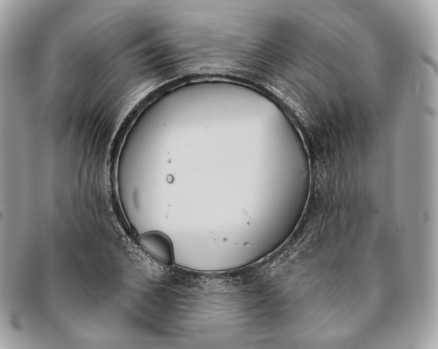 X0000096150976200802081408