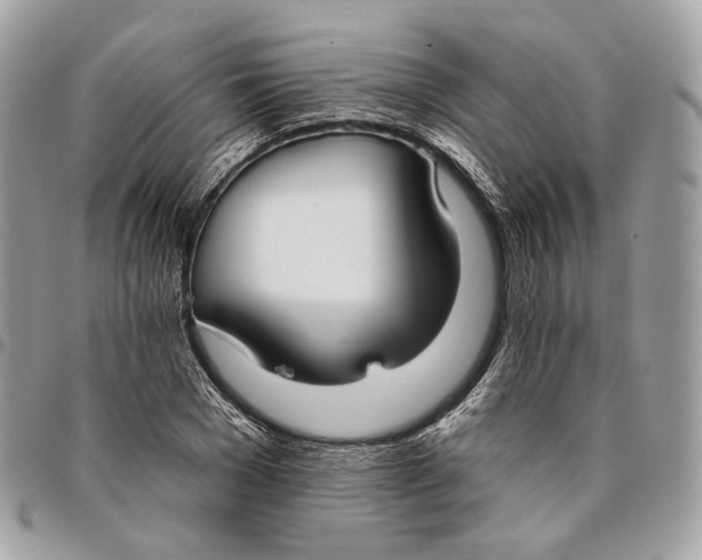 X0000096150977200802081408