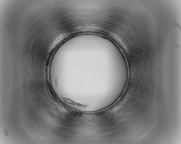 X0000096150978200802081408