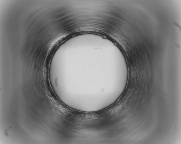 X0000096150979200802081408