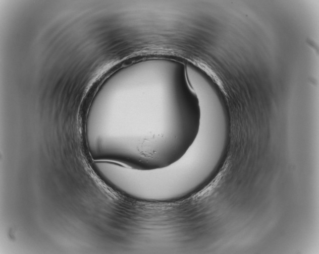 X0000096150981200802081407