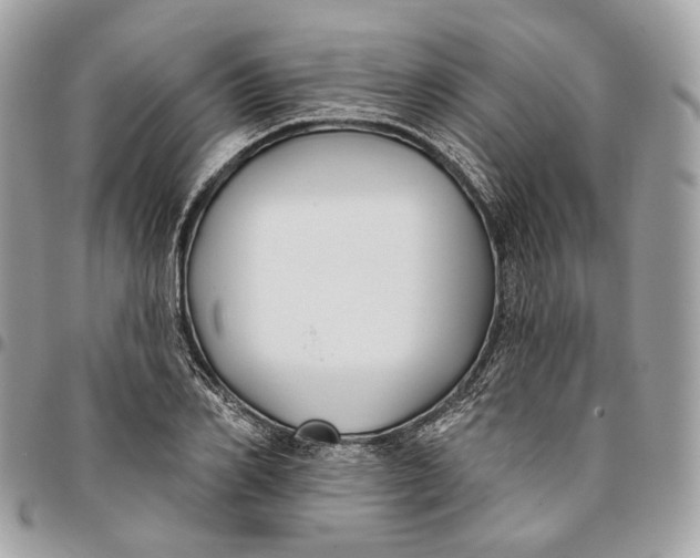 X0000096150982200802081407