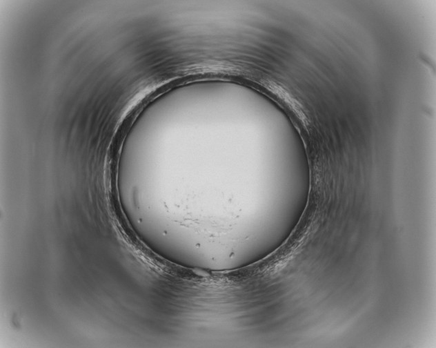 X0000096150983200802081407