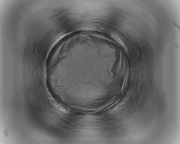 X0000096150984200802081407