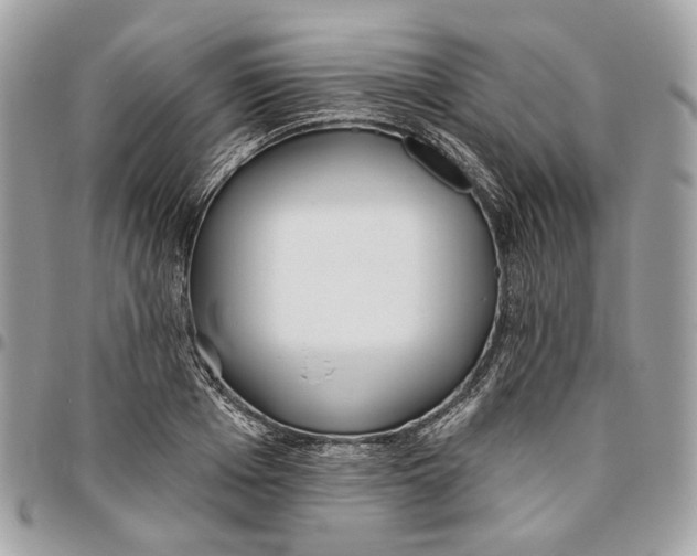 X0000096150985200802081407