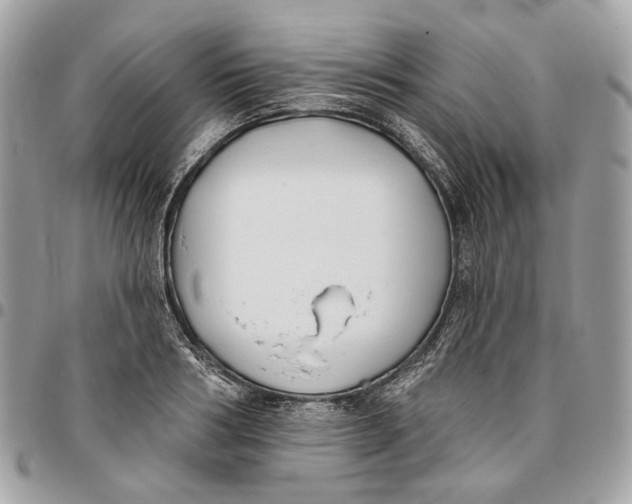 X0000096150986200802081407