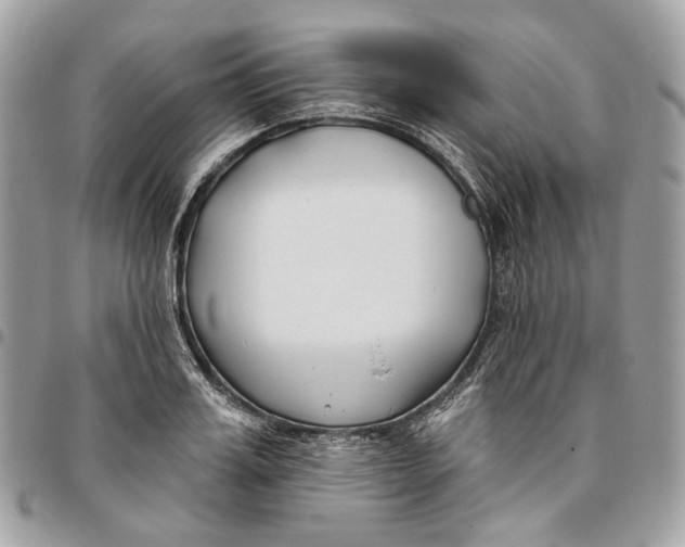 X0000096150987200802081407