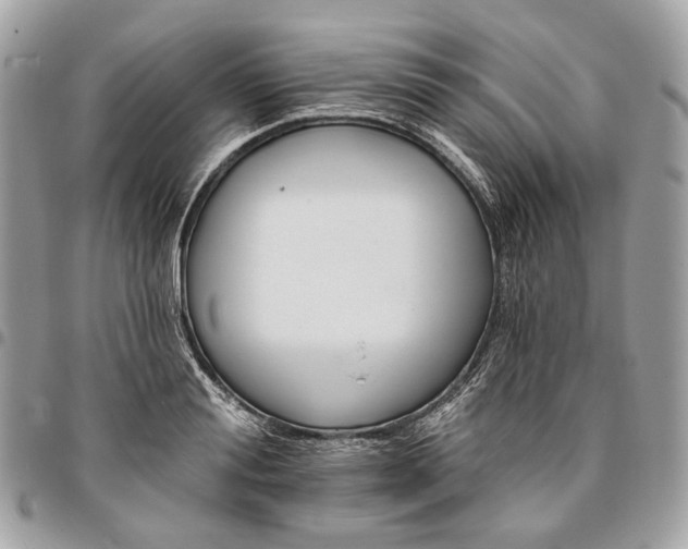 X0000096150988200802081407