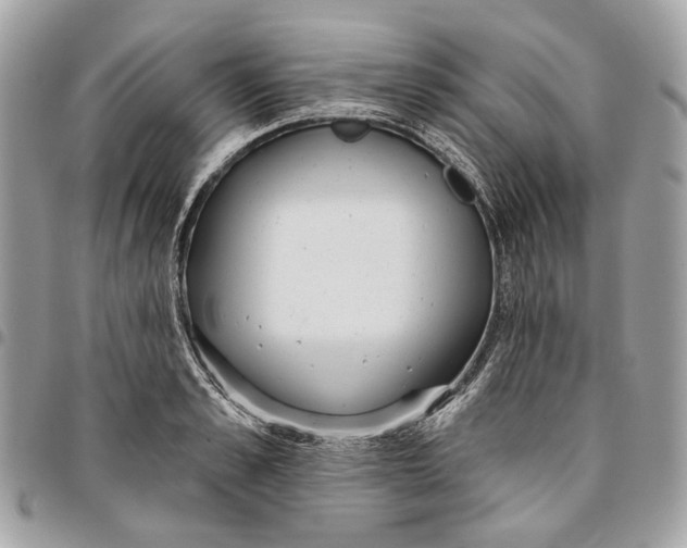 X0000096150989200802081407