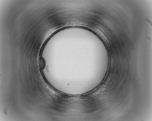 X0000096150990200802081407