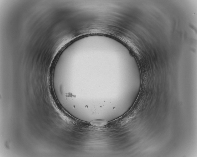 X0000096150991200802081407