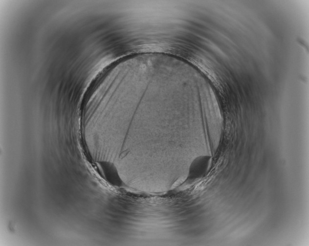 X0000096150992200802081407