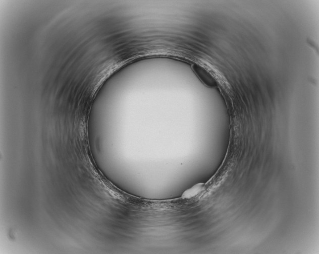 X0000096150993200802081407