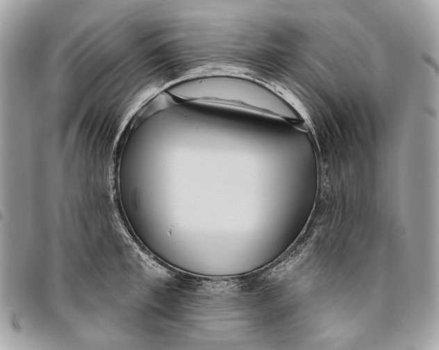 X0000096150997200802081407