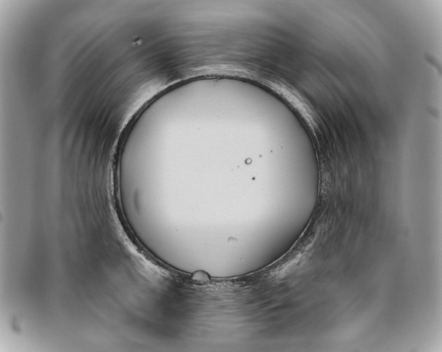 X0000096150999200802081407