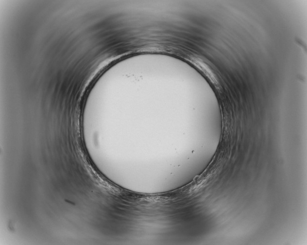 X0000096151000200802081407