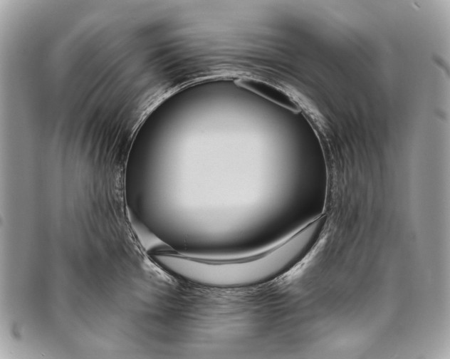 X0000096151001200802081407