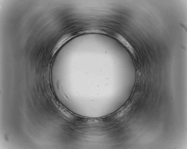 X0000096151002200802081407