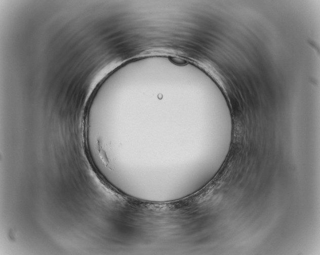 X0000096151003200802081407