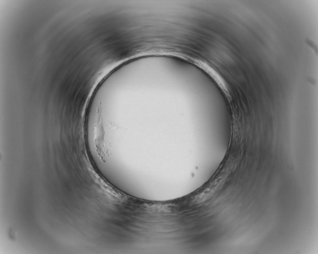 X0000096151004200802081407