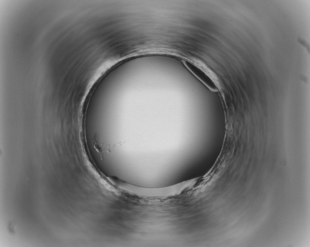 X0000096151005200802081407