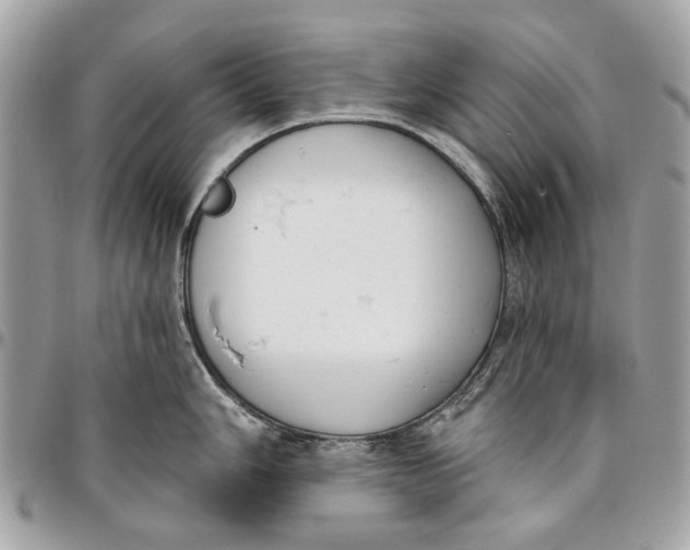 X0000096151006200802081407