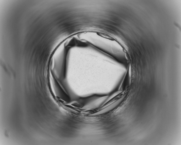 X0000096151007200802081407