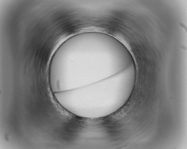 X0000096151008200802081407