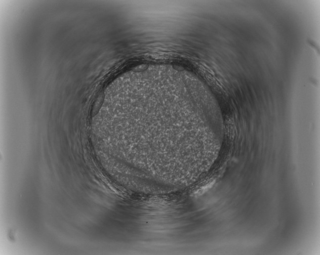 X0000096151009200802081406