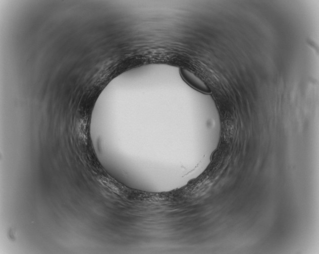 X0000096151010200802081406