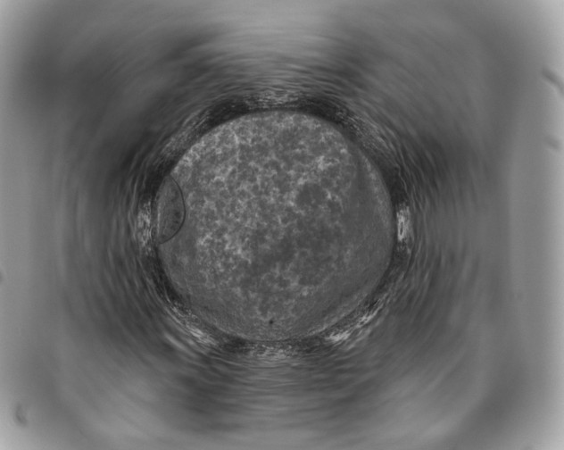 X0000096151011200802081406