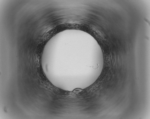 X0000096151013200802081406