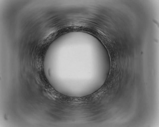 X0000096151014200802081406