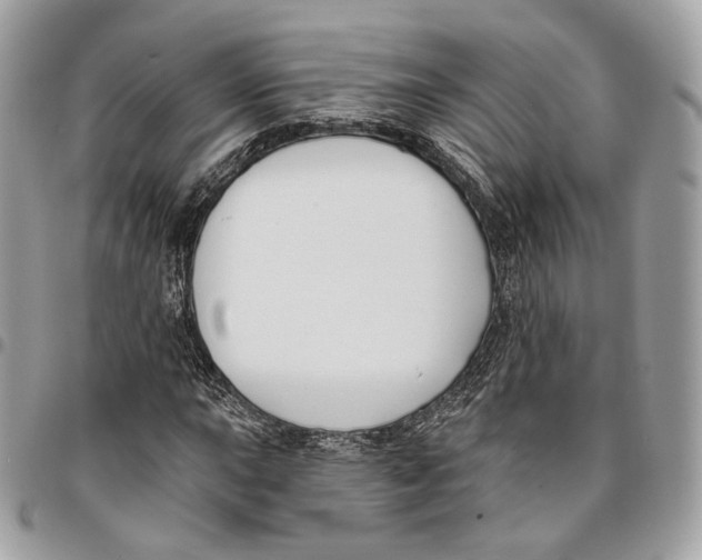 X0000096151015200802081406