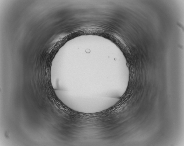 X0000096151016200802081406