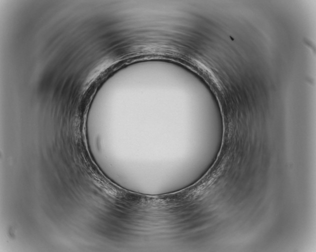 X0000096151019200802081406