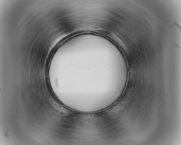 X0000096151020200802081406